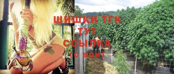 PSILOCYBIN Алзамай