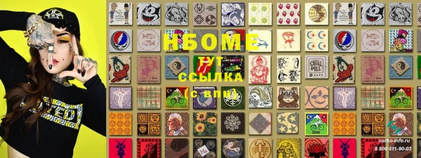 PSILOCYBIN Алзамай
