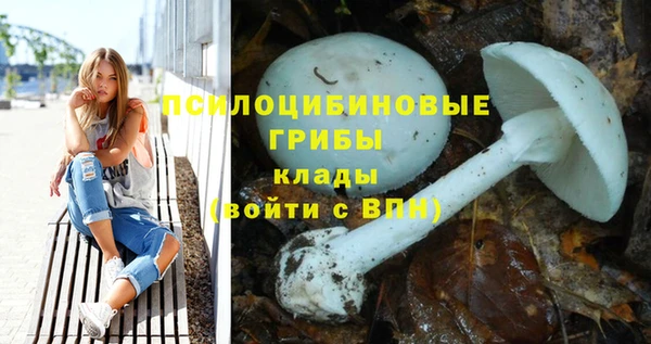 молекула духа Алексеевка