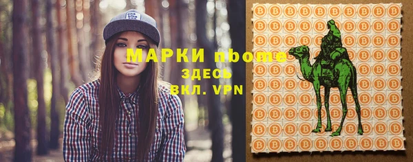 PSILOCYBIN Алзамай