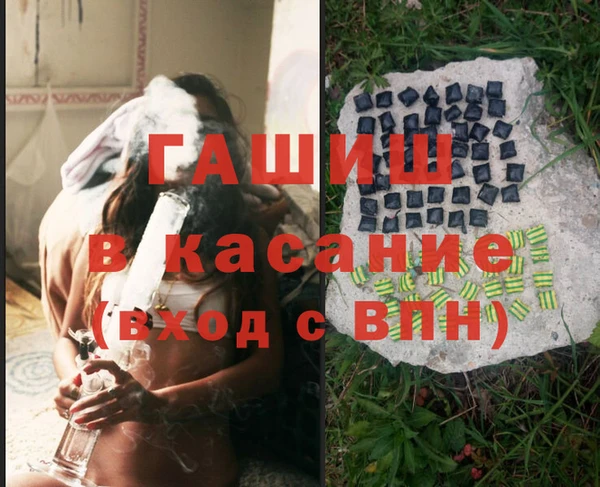 PSILOCYBIN Алзамай