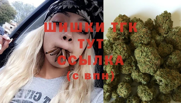 молекула духа Алексеевка
